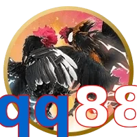 qq88