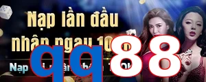 qq88